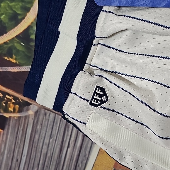 Cleveland Buckeyes Negro League Pinstripe Shorts Size Medium - Picture 4 of 10